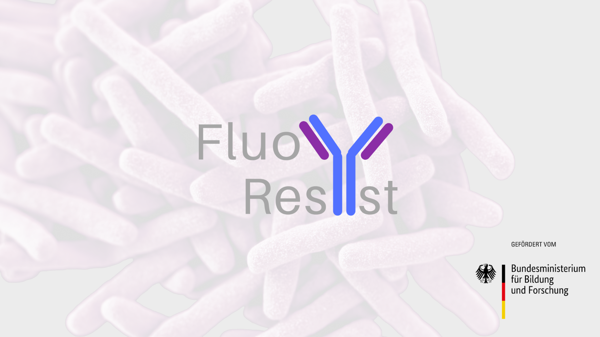 FluoResYst-Bild_LogoBMBF